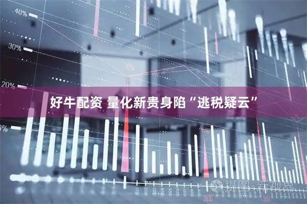 好牛配资 量化新贵身陷“逃税疑云”